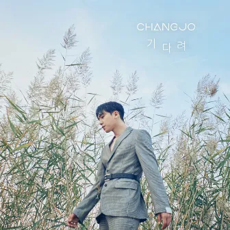 Never Anything by CHANGJO