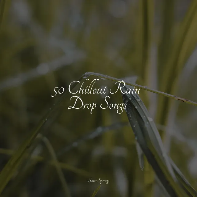 50 Chillout Rain Drop Songs