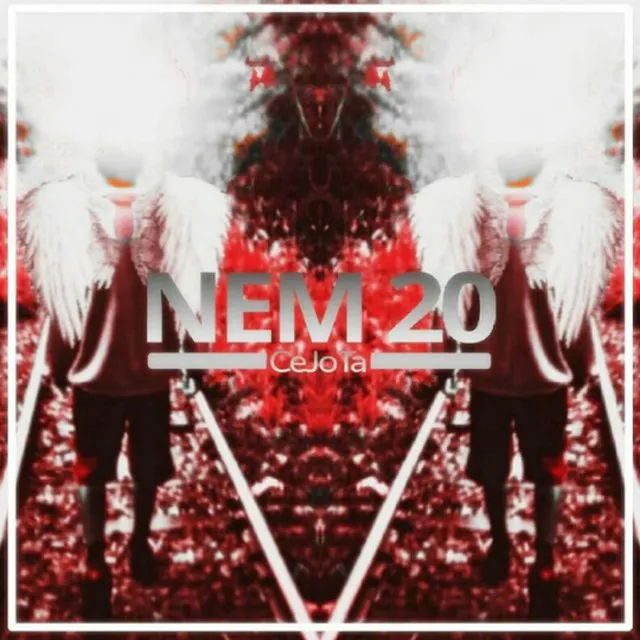 Nem 20