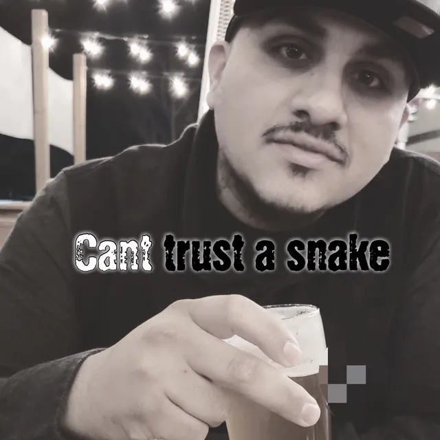 Cant Trust A Snake