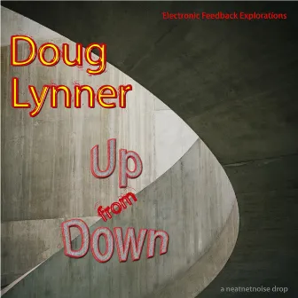 Up from Down: Electronic Feedback Explorations by Doug Lynner