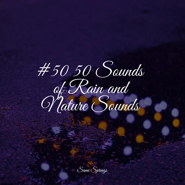 #50 50 Sounds of Rain and Nature Sounds