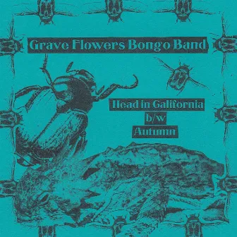 Head in California / Autumn by Grave Flowers Bongo Band