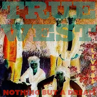 Nothing but a Dream by True West