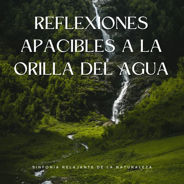 Reflexiones Apacibles A La Orilla Del Agua: Sinfonía Relajante De La Naturaleza