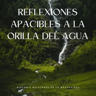 Reflexiones Apacibles A La Orilla Del Agua: Sinfonía Relajante De La Naturaleza by Las Ruedas del Autobús