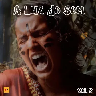 A Luz do Som, Vol. 8 by REC'n'Play