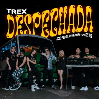 Despechada by TREX