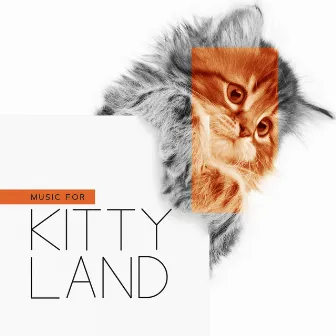 Music for Kittyland: Calming Ambient for Cats with Anxiety by Ambient Sounds Collection