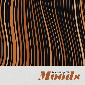 Moods by Jeremy Bruger Trio