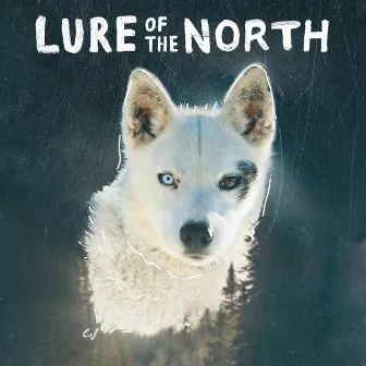 Lure of the North by Chris Joye