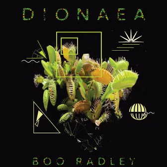 Dionaea by Boo Radley