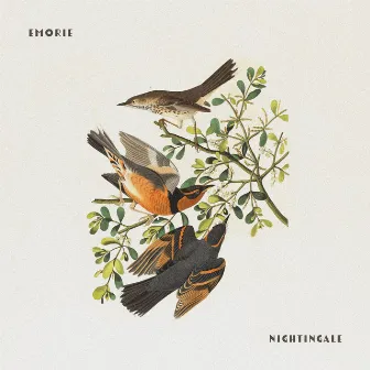 Nightingale by Emorie