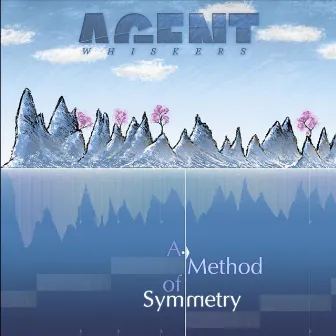 A Method of Symmetry by Agent Whiskers