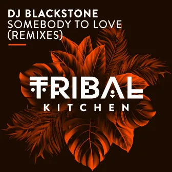 Somebody to Love (Remixes) [Radio Edits] by DJ Blackstone