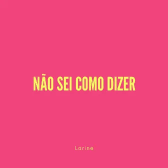 Não sei como dizer by Larine