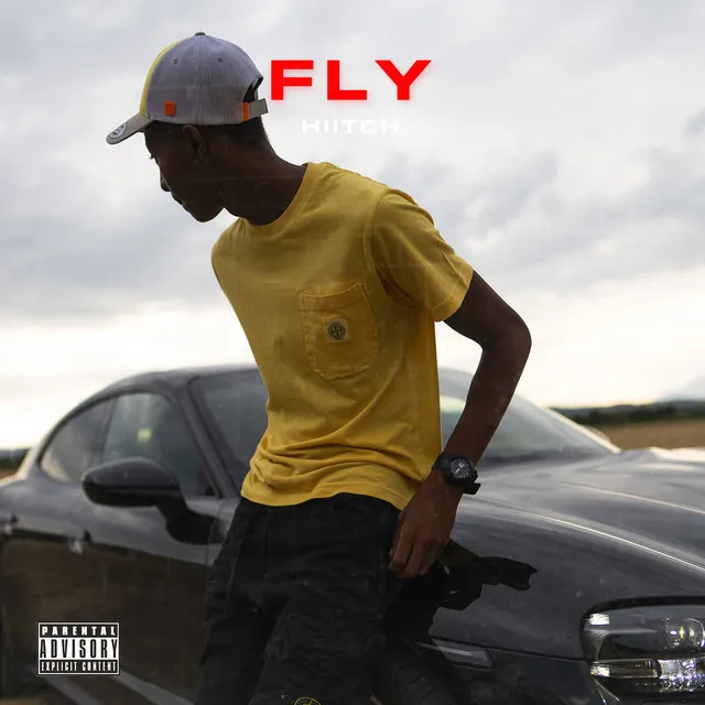 Fly