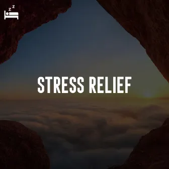 Stress Relief by Breathing Music