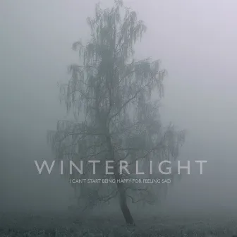 I Can't Start Being Happy for Feeling Sad by Winterlight