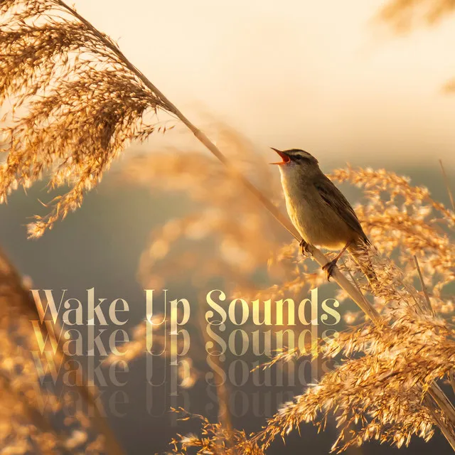 Wake Up Sounds: Gentle Bells with Nature Sounds Alarm Clock