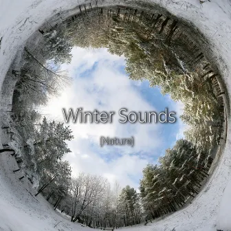 Winter Sounds (Nature) by Better Sleep