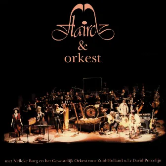 Flairck & Orkest by Flairck