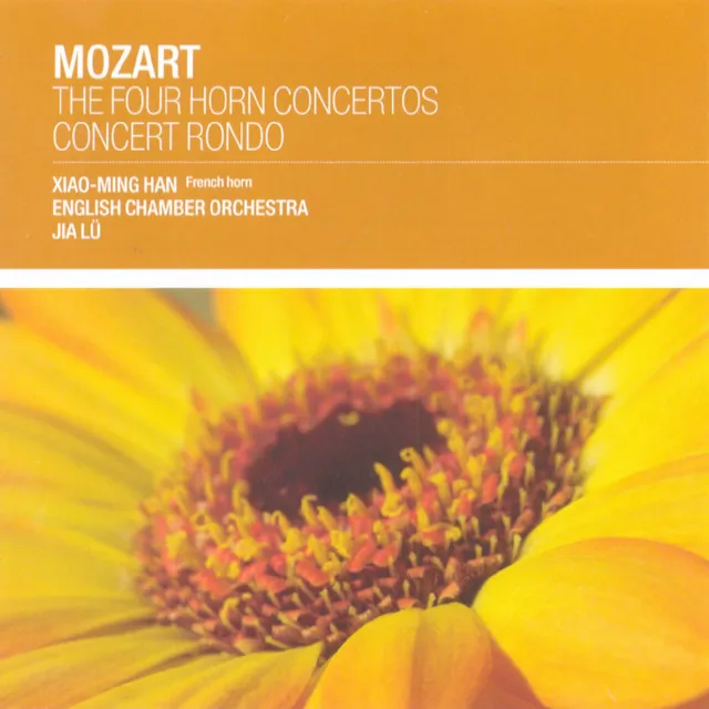 Horn Concerto No.1 in D, K. 412: 1. Allegro