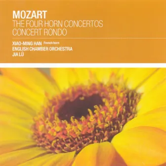 Mozart: The 4 Horn Concertos by Unknown Artist