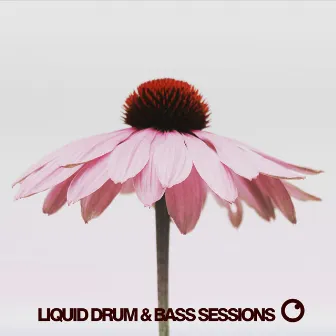 Liquid Drum & Bass Sessions 2020 Vol 10 by Dreazz