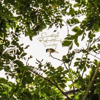 Comstock Birdwatching Society by Dante & Amigo