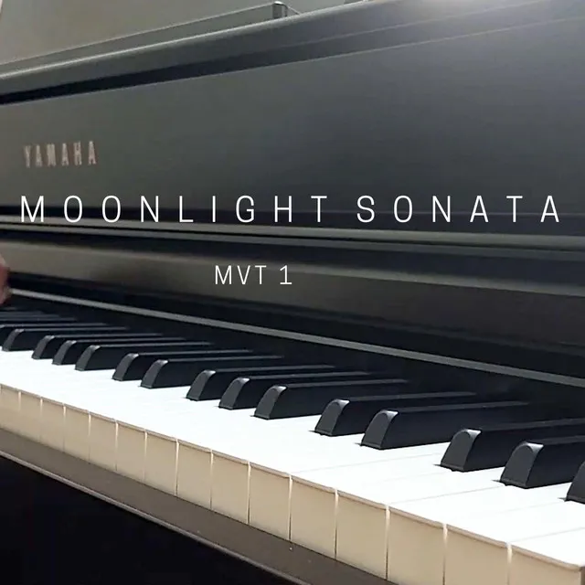 Moonlight Sonata (1st Movement)