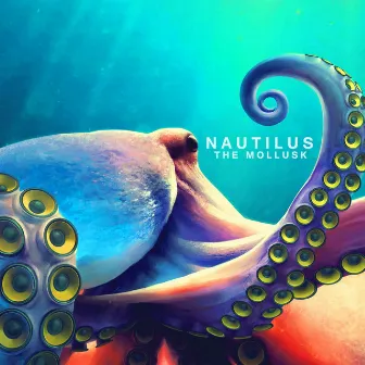 Nautilus by The Mollusk