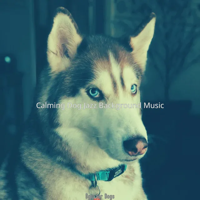 Bgm for Dogs