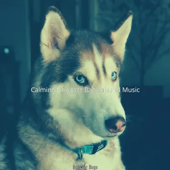 Bgm for Dogs by Calming Dog Jazz Background Music