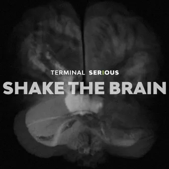 Shake the Brain by Terminal Serious