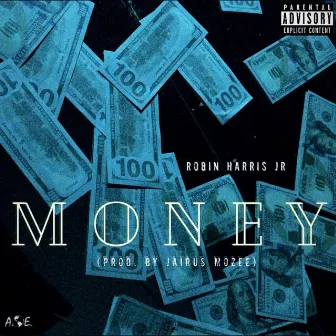 Money by Robin Harris Jr.