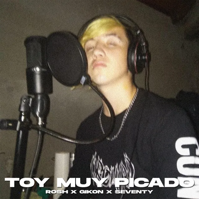 Toy Muy Picado