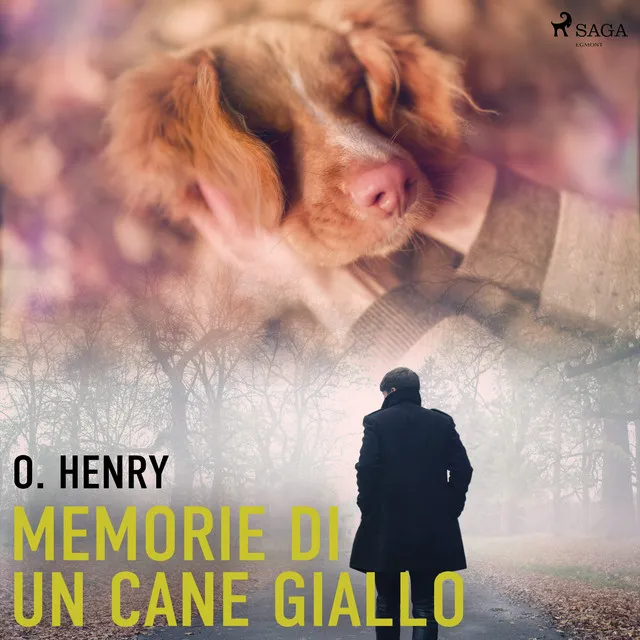 Memorie di un cane giallo