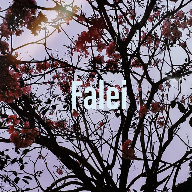 Falei