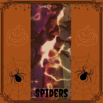 Spiders by CailinaLeigh