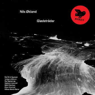 Glødetrådar by Nils Økland