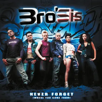 Never Forget (Where You Come From) by Bro'Sis