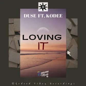 Loving It by Duse