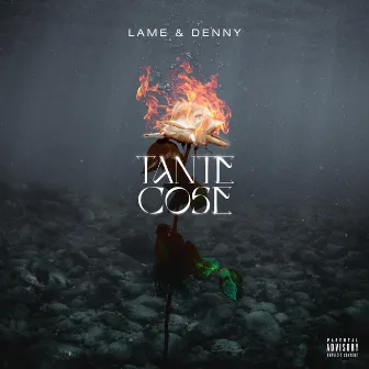 TANTE COSE by Denny