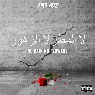 No Rain No Flowers by Ard Adz