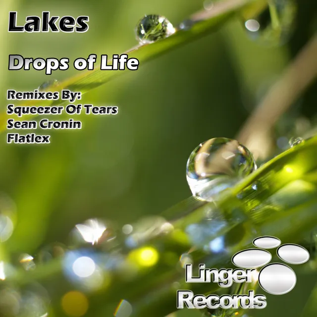 Drops of Life (Squeezer Of Tears Remix)