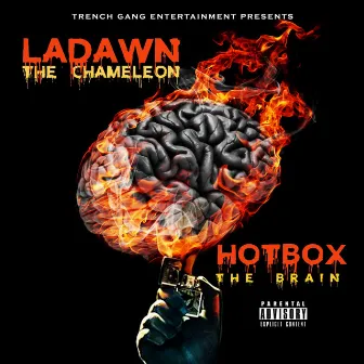 Hotbox The Brain by Ladawn The Chameleon