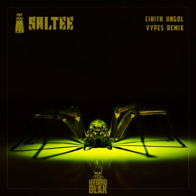 Cirith Ungol (Vypes Remix)