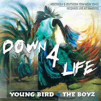 Down 4 Life - Northern and Southern Pow-Wow Songs Recorded Live at Shakopee by The Boyz