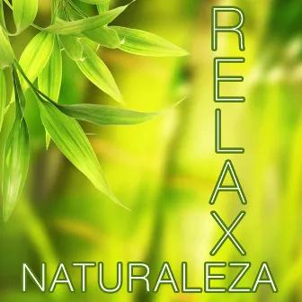 Naturaleza Relax - Las Mejores Músicas Relajantes para Meditación, Clases de Yoga, Reiki, Spa, Salones de Belleza y para Lograr la Paz y la Tranquilidad Interior by Heaven del Mar